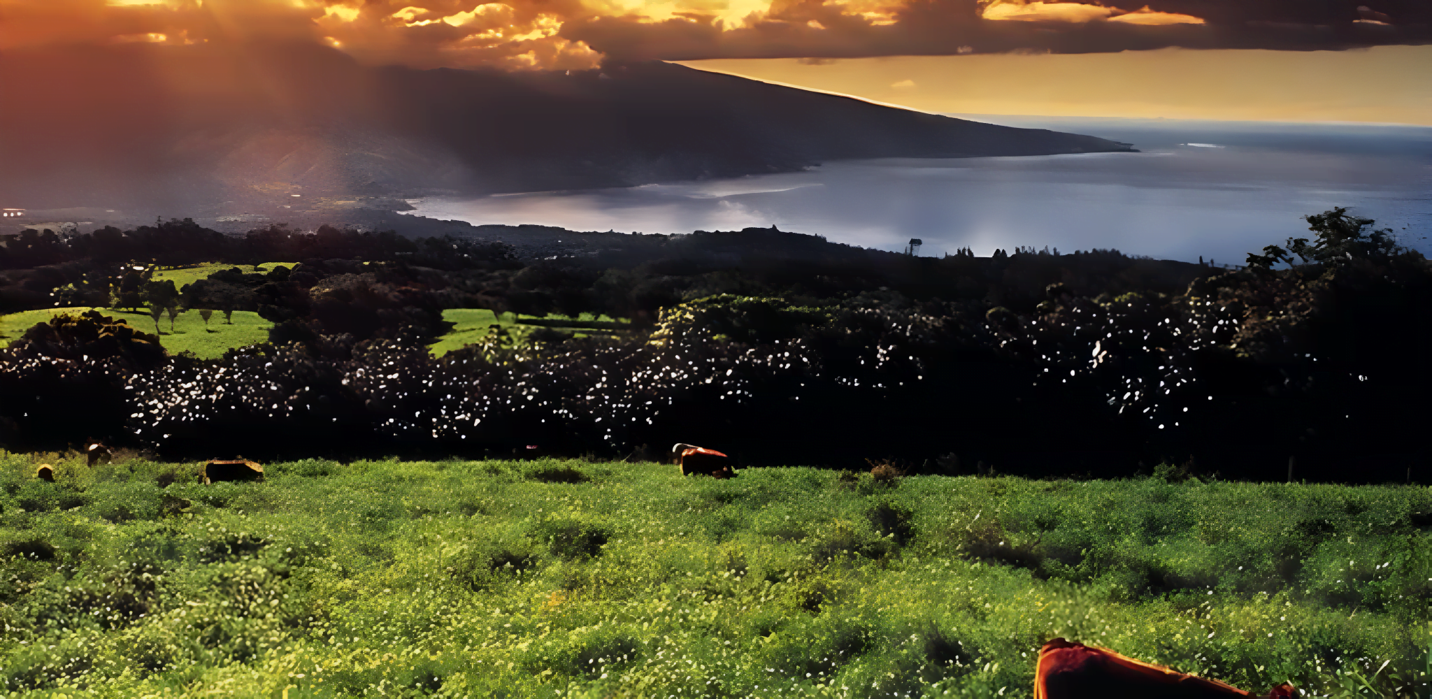 Understanding Tahiti’s Climate: A Guide to Annual Weather Conditions ...