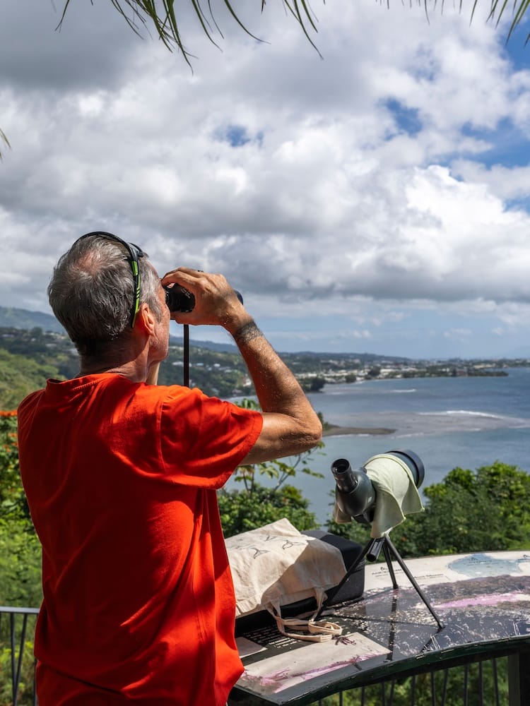 East Coast Half Day Tour of Tahiti - Tahara View Point