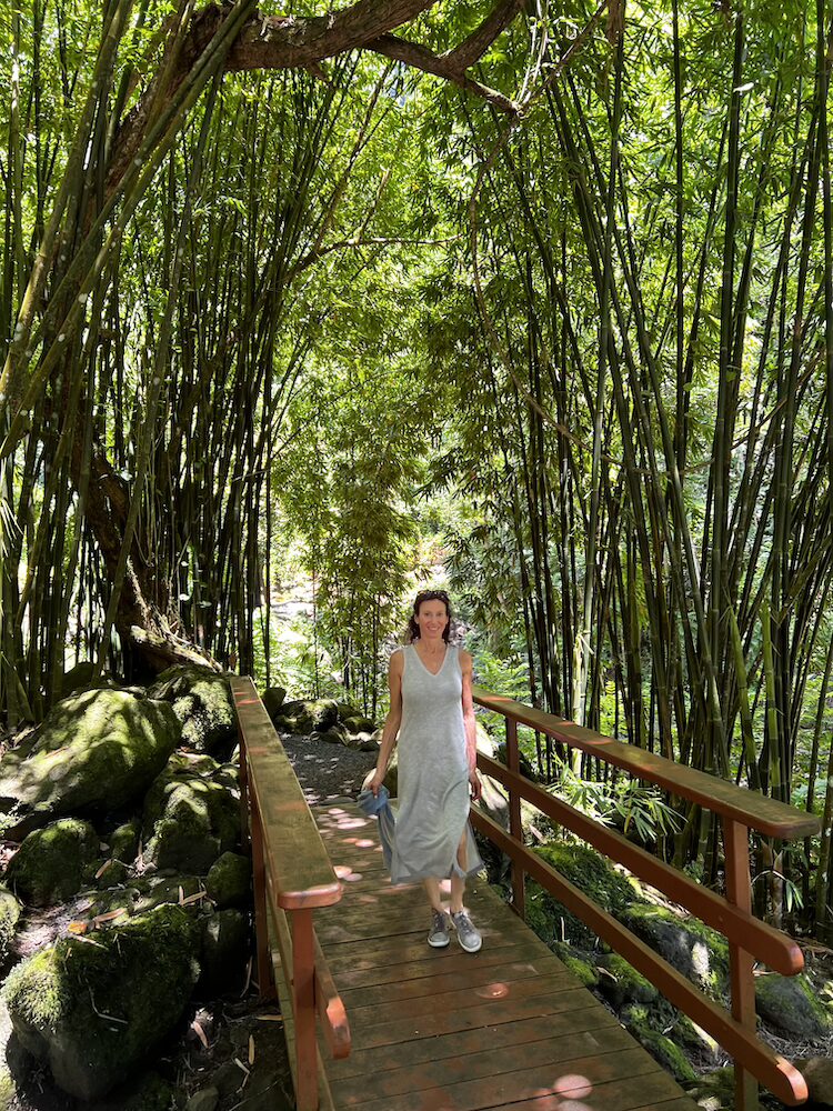 East Coast Half Day Tour of Tahiti - Waterfall Bamboo Forest