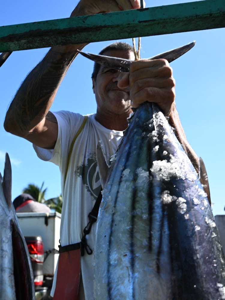 Fish on Display in Paea Village - West Coast Half Day Tour of Tahiti