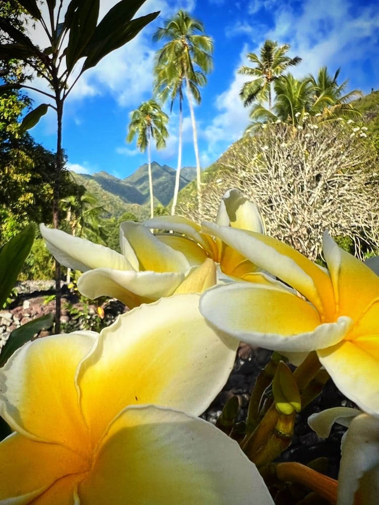 Flowers at the Temple - West Coast Half Day Tour of Tahiti