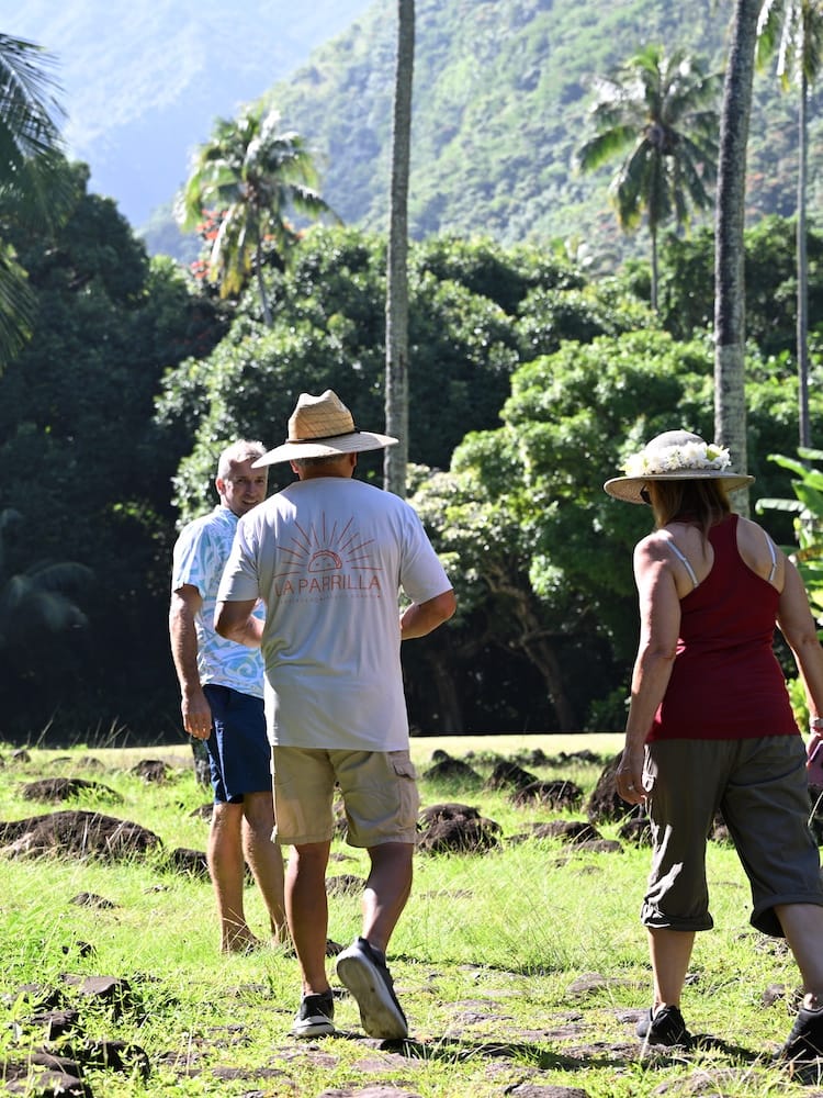 Temple Ruins Tour - West Coast Half Day Island Tour