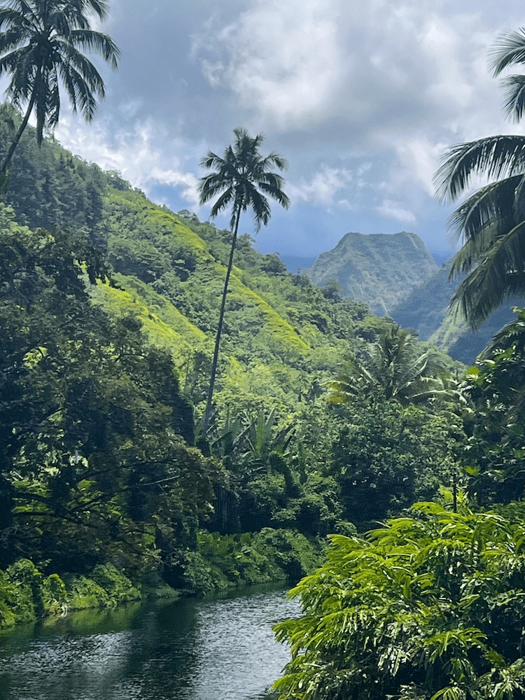 Unique Tahiti - Tahitian Island Tours - Beautiful Landscape