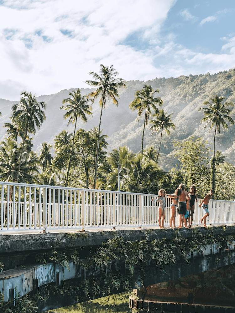 Unique Tahiti - Tahitian Island Tours - Beautiful Landscape