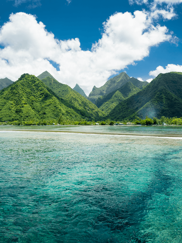 Unique Tahiti - Tahitian Island Tours - Teahupoo Wave