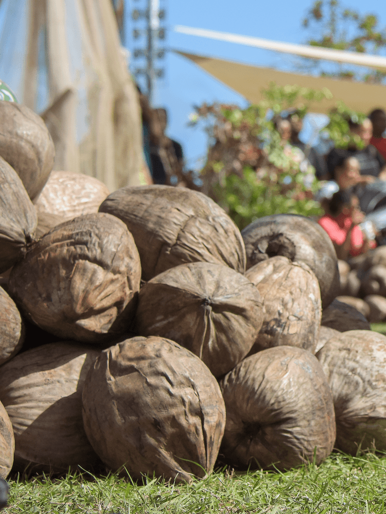 Unique Tahiti - Tours of Tahiti - Piles of Coconuts
