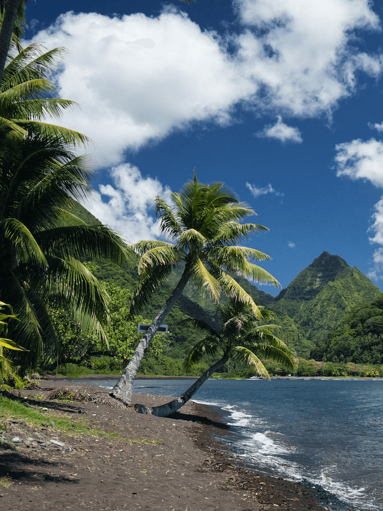 Unique Tahiti - Tours of Tahiti - Plage Tautira Paysage
