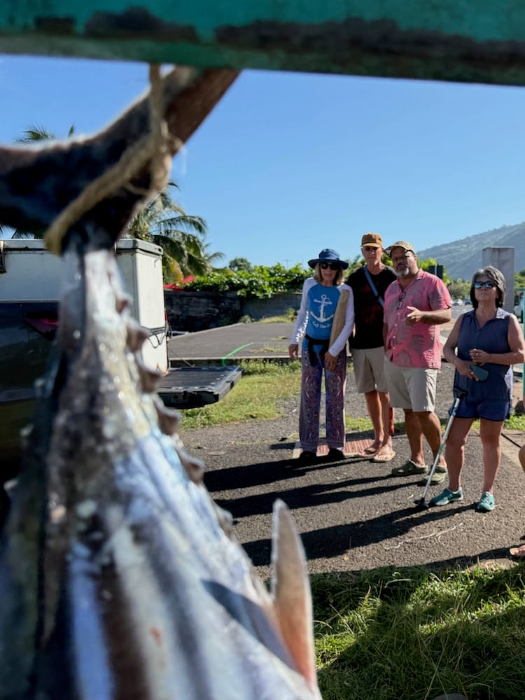 West Coast Half Day Tour of Paea Village