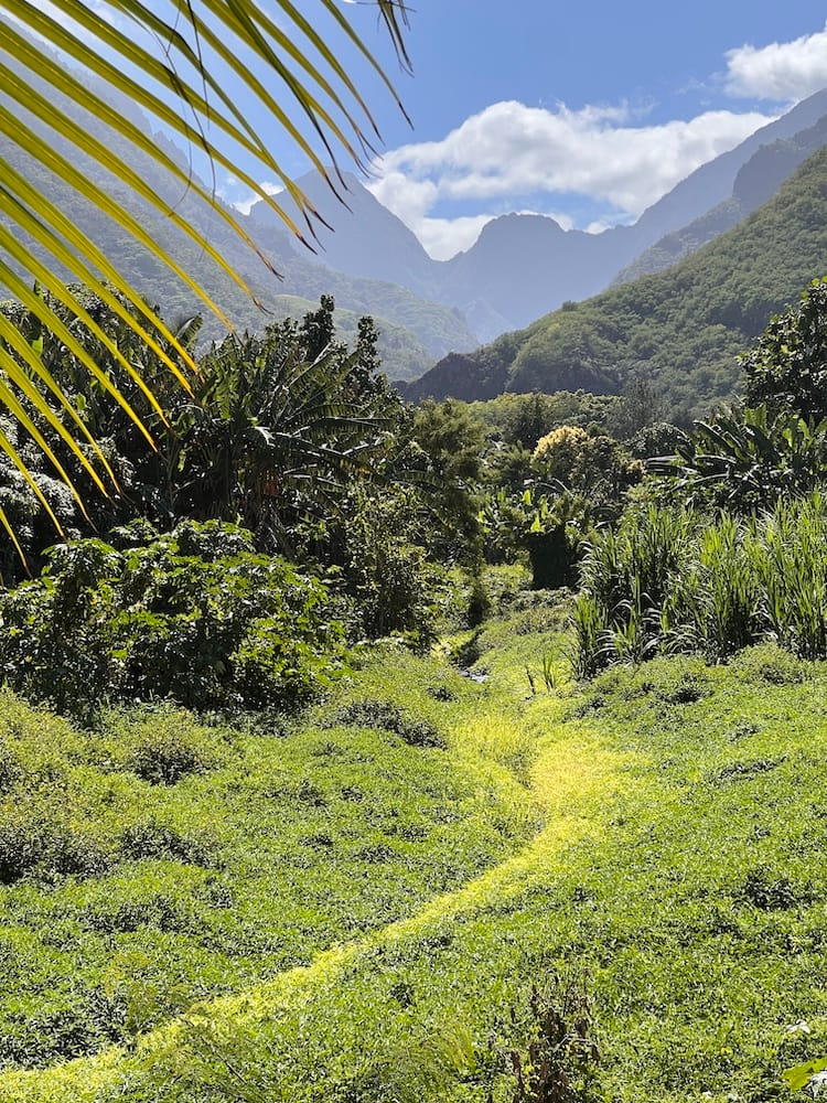 West Coast Half Day Tour of Tahiti - Beautiful View of Nature