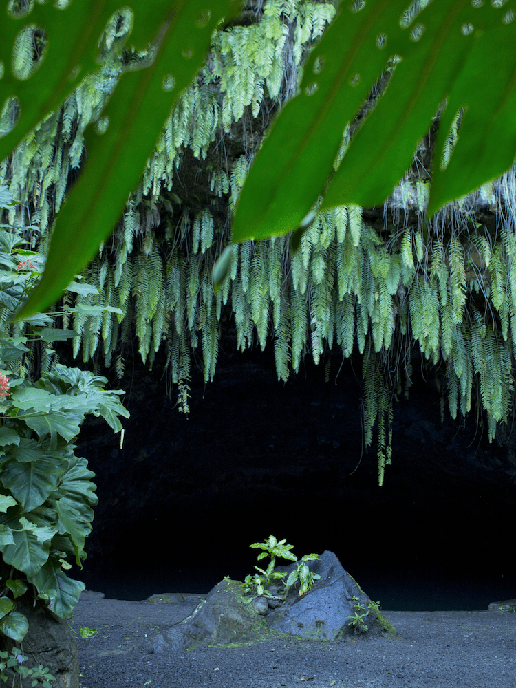 West Coast Half Day Tour of Tahiti - Exploring Caves