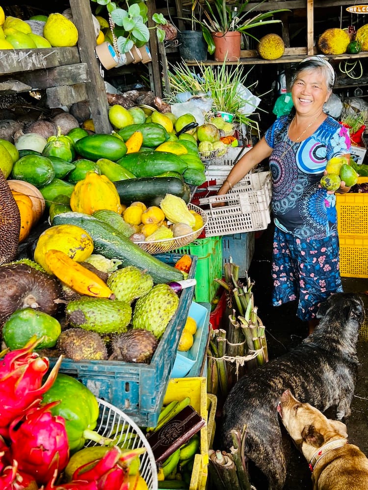 West Coast Paea Village Fruit Stand - Half Day Tour of Tahiti