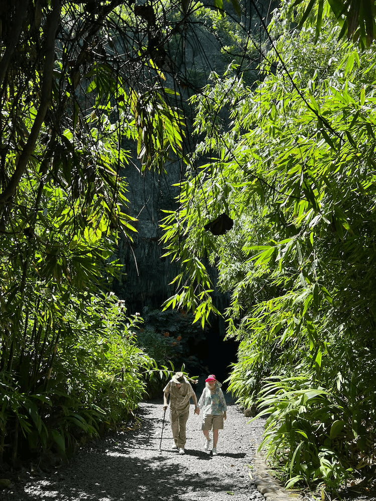 West Cost Full Day Tour of Tahiti - Couple Walking Through Foliage
