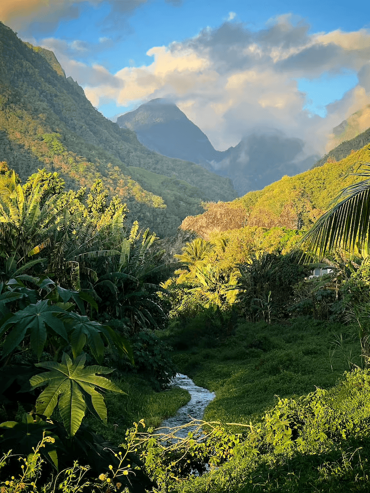 West Cost Full Day Tour of Tahiti - Incredible Landscape