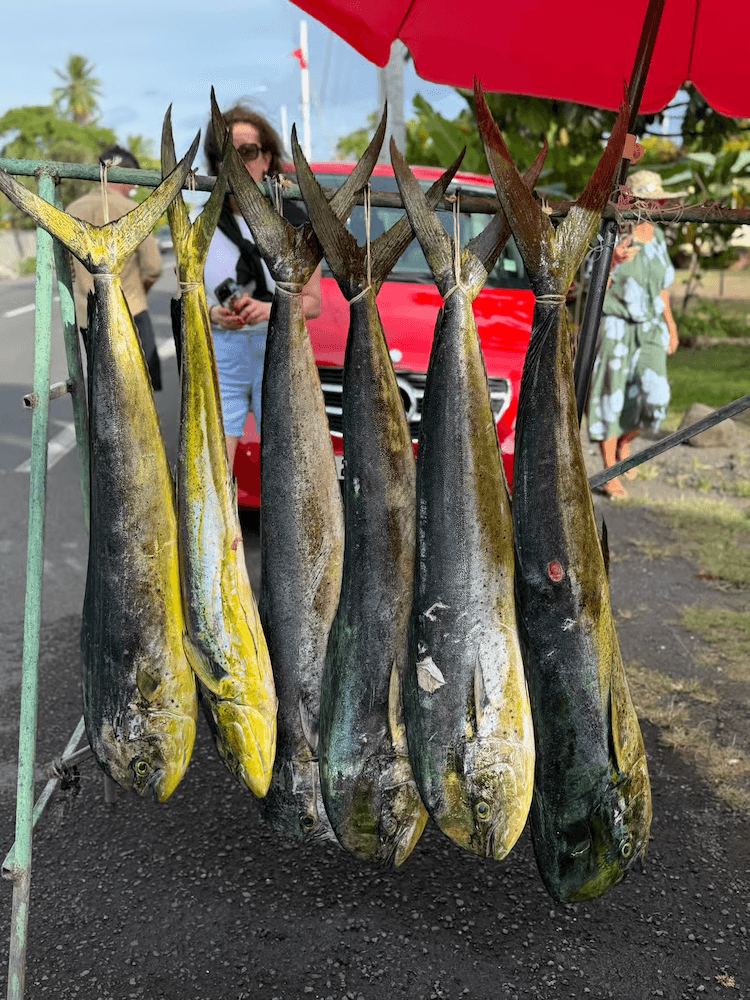 West Cost Full Day Tour of Tahiti - Local Caught Fresh Fish