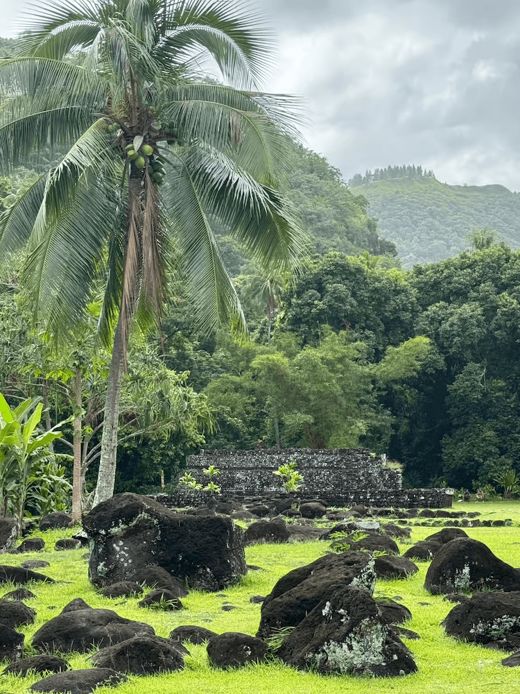 West Cost Full Day Tour of Tahiti - Ruins Surrounded by Palm Trees
