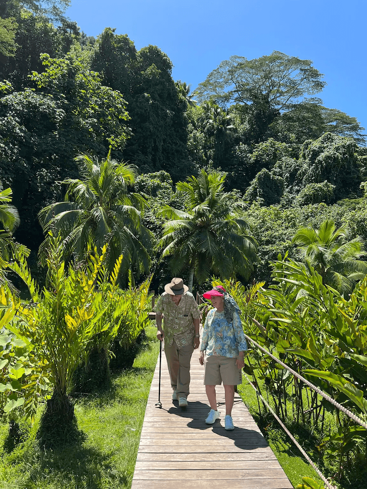 West Cost Half Day Tour of Tahiti - Couple Walking Through Foliage