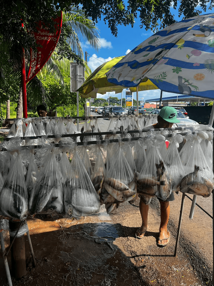 West Cost Half Day Tour of Tahiti - Fresh Caught Fish for Sale