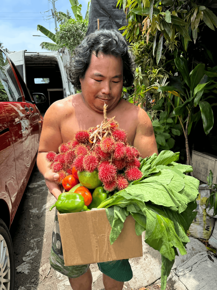 West Cost Half Day Tour of Tahiti - Local with Fresh Fruit