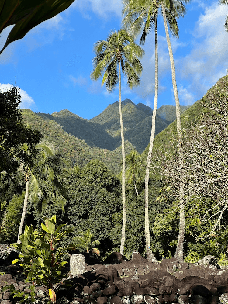 West Cost Half Day Tour of Tahiti - Ruins Surrounded by Palm Trees