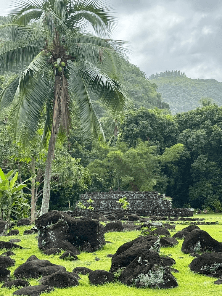 West-Cost-Full-Day-Tour-of-Tahiti-Ruins-Surrounded-by-Palm-Trees.png