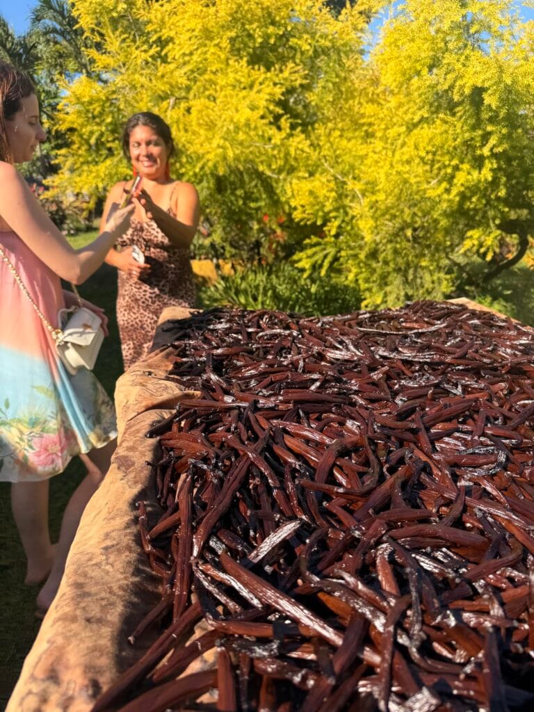 Trip to the local Vanilla Plantation