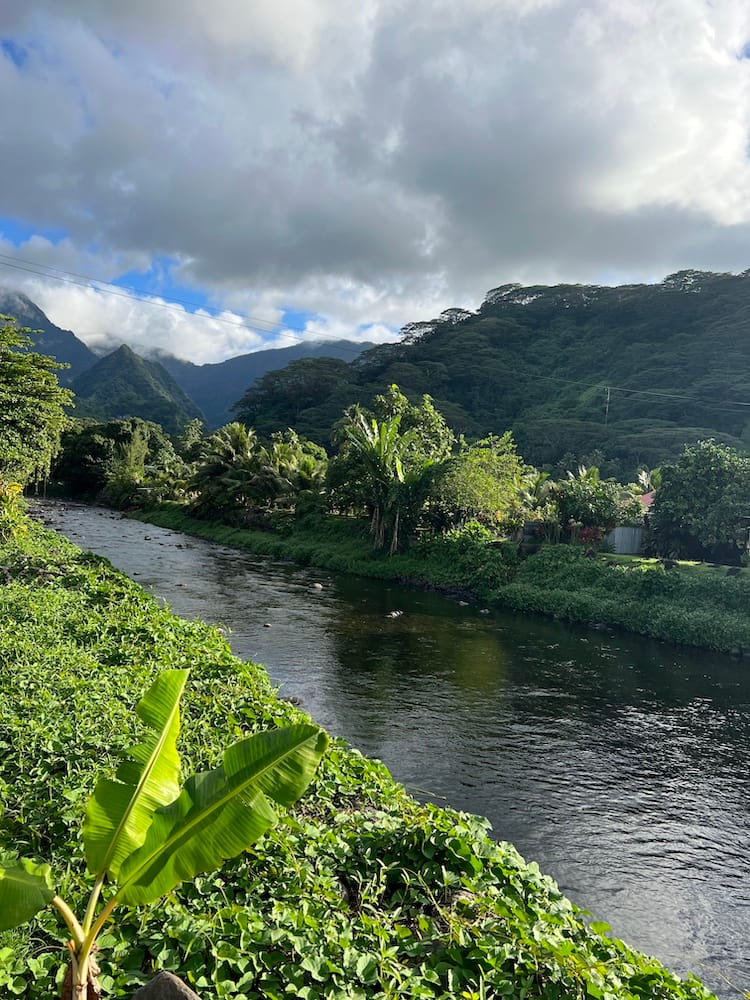 East Coast Tour of Tahiti - Along the River