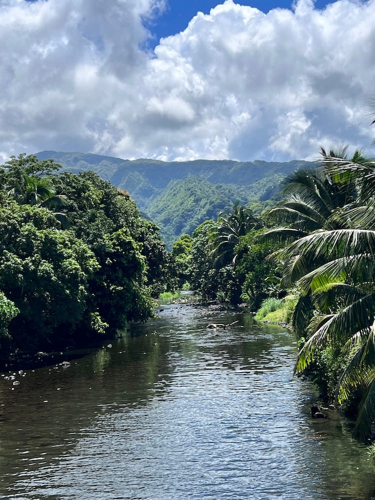East Coast Tour of Tahiti - Mountain Landscape and River