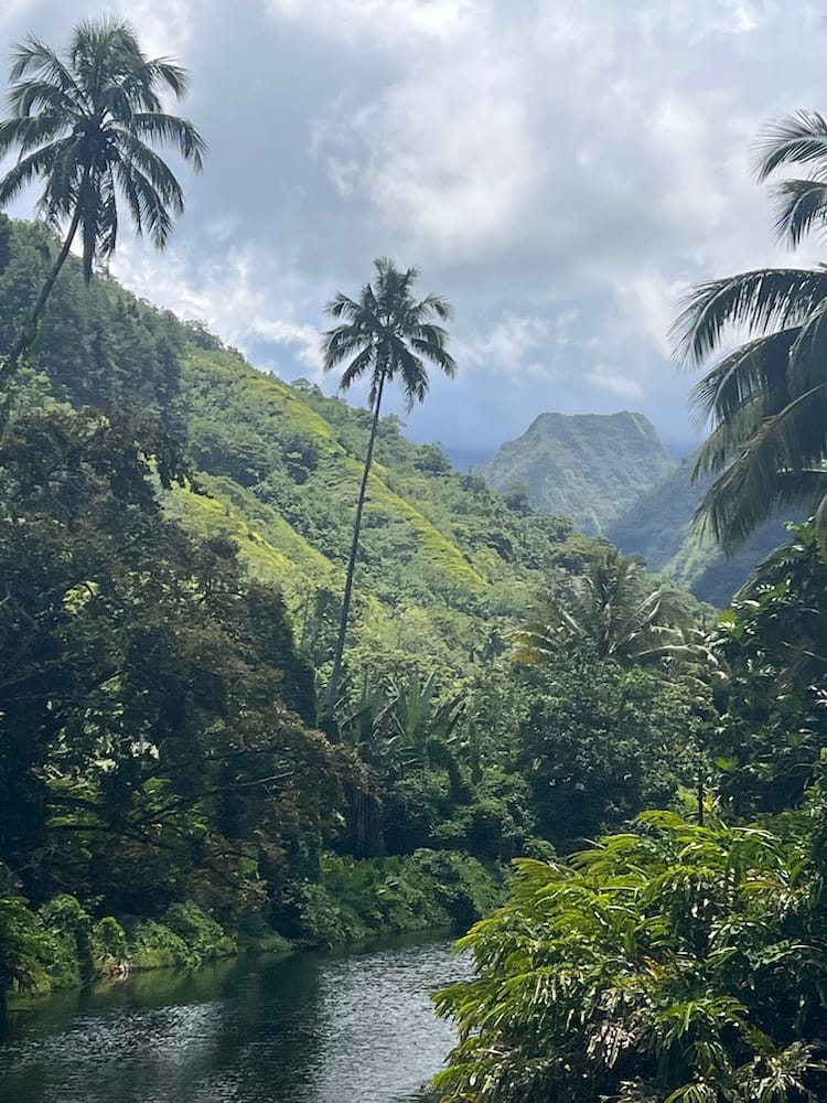 East Coast Tour of Tahiti - Mountain Landscape