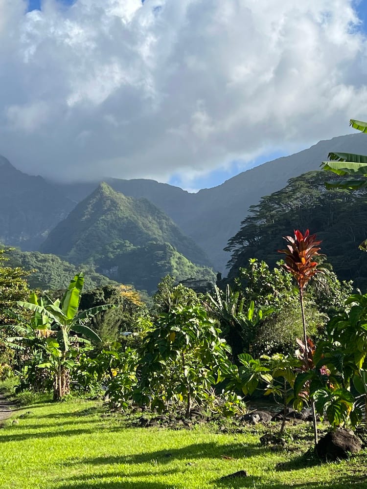 East Coast Tour of Tahiti - Mountains and Trees