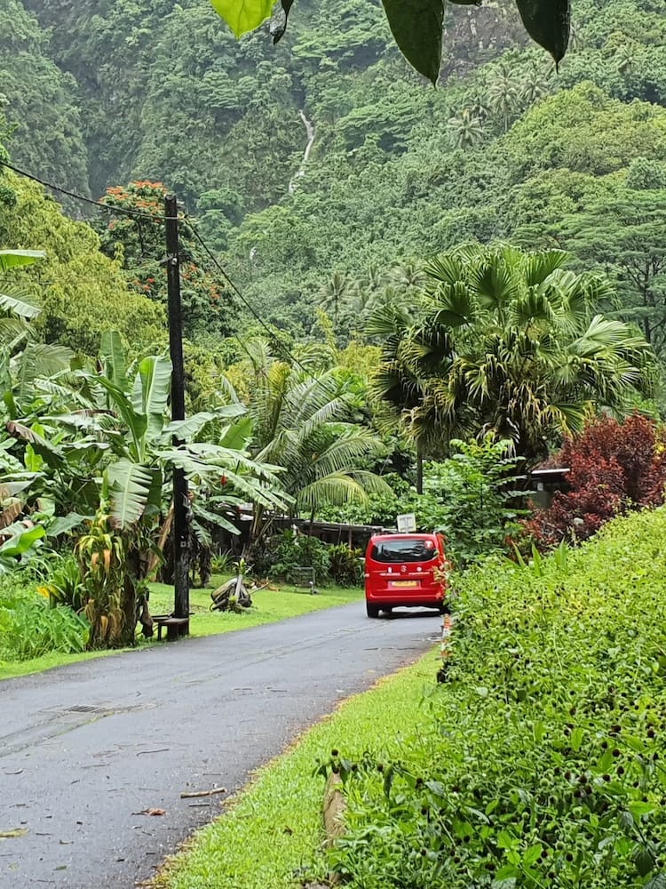 East Coast Tour of Tahiti - Ren Mercedes Van Surrounded by Greenery