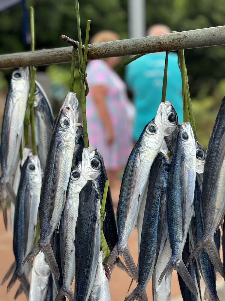 General Fish 7
