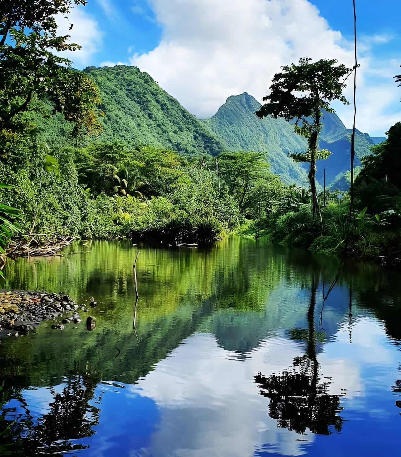 Calm river reflecting steep green mountains and tropical forest