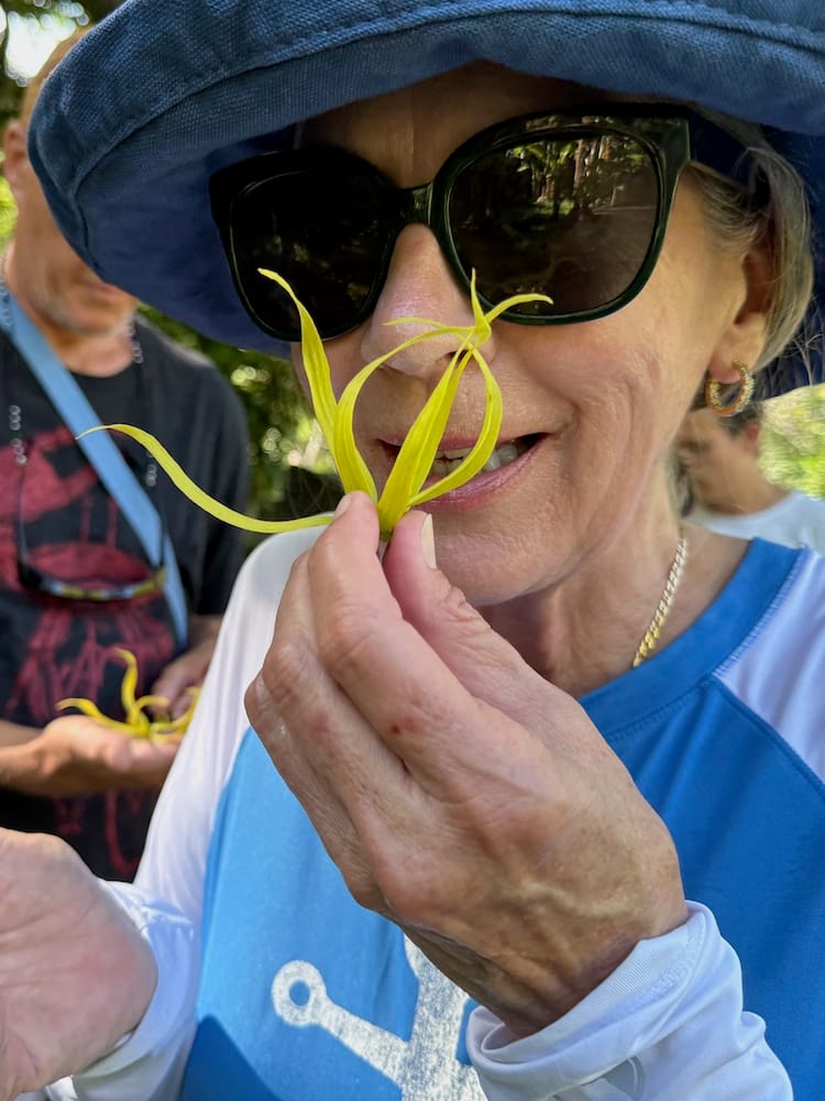 WC YLANG YLANG 2