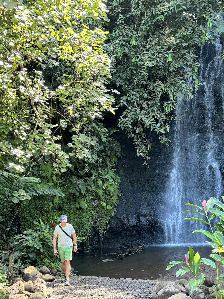 West Coast Waterfall at the Botanical Gardens