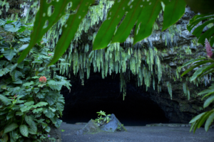 West Coast Tour - Cave of Maara - Unique Tahiti